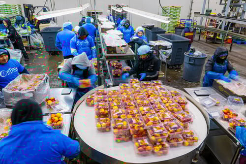 The Impact of Seasonal Staffing on Warehouse Operations