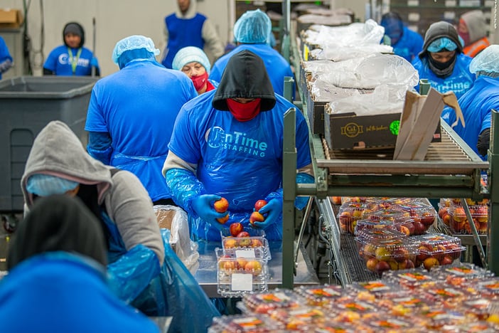 Group of workers working in food manufacturing